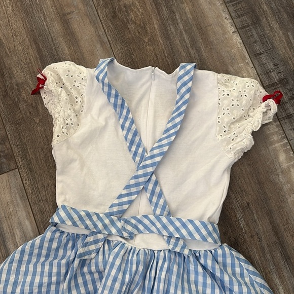 Dorthy Wizard of OZ dress & Vintage Ruby Slippers - Picture 11 of 13
